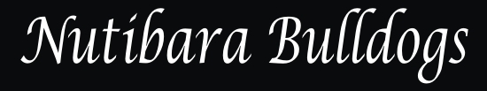 Nutibara Bulldogs